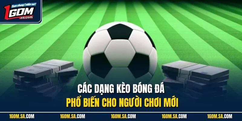 Các dạng kèo bóng đá phổ biến cho người chơi mới