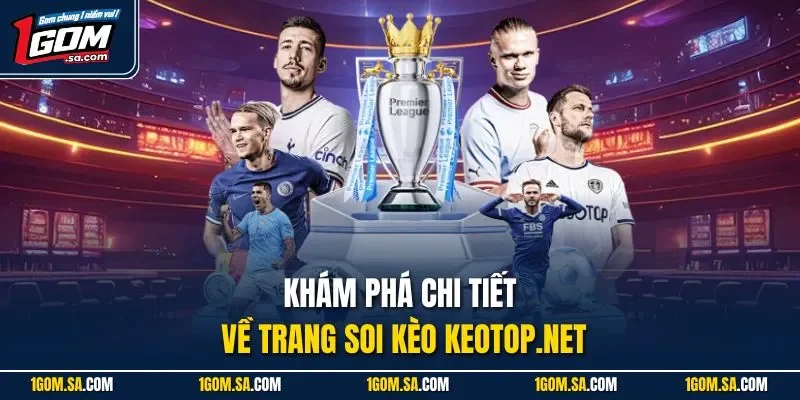 Khám phá chi tiết về trang soi kèo keotop.net