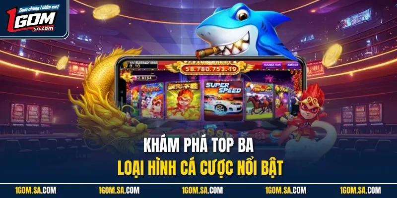 Khám phá top ba loại hình cá cược nổi bật